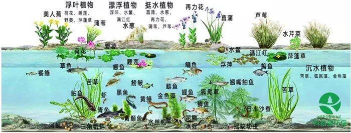 1277�Ǽʵ���(�й���)�ٷ���Ϸ��ַ