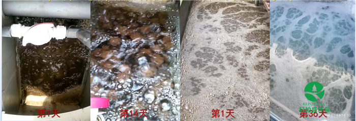 1277�Ǽʵ���(�й���)�ٷ���Ϸ��ַ