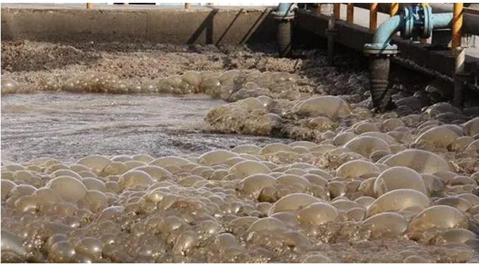 1277�Ǽʵ���(�й���)�ٷ���Ϸ��ַ