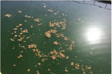 1277�Ǽʵ���(�й���)�ٷ���Ϸ��ַ