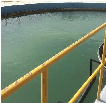 1277�Ǽʵ���(�й���)�ٷ���Ϸ��ַ