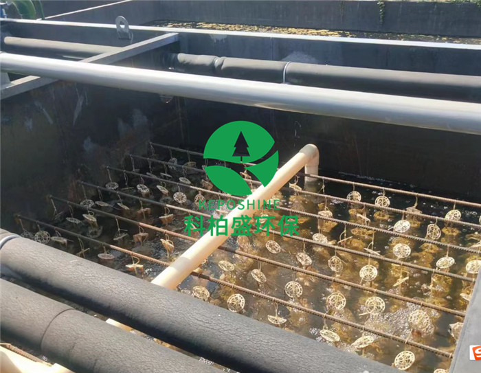 1277�Ǽʵ���(�й���)�ٷ���Ϸ��ַ